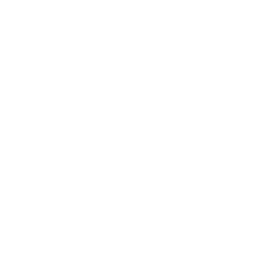 Synx logo